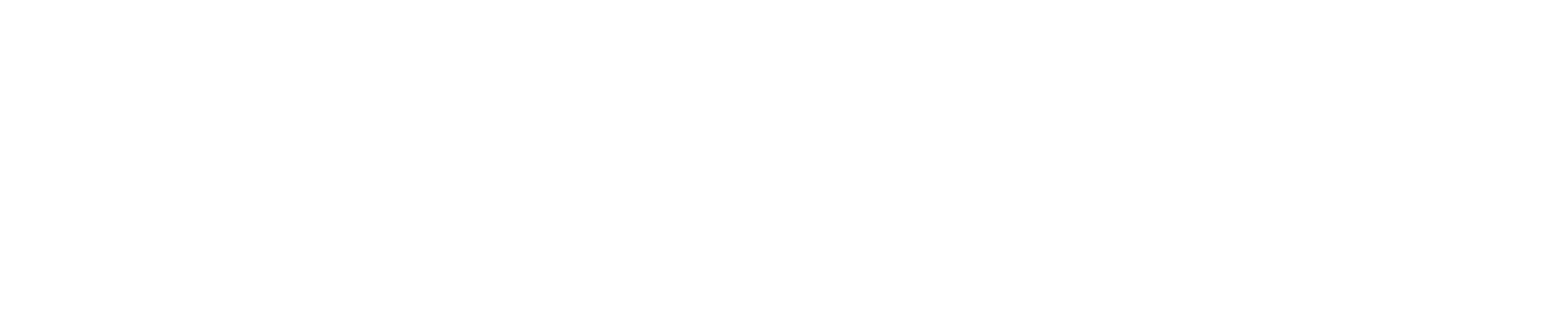 ZYSHEN LIGHTING